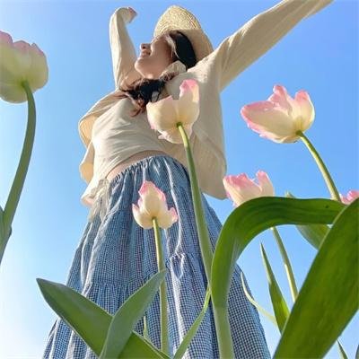 与谍同谋粤语